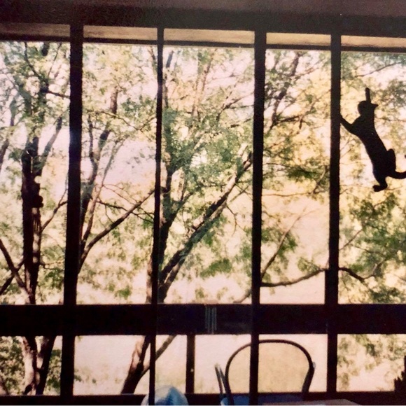 Cohosting EVERYTHING PETS Posh Party - 11/30 at 6:00 CST Sign up for a host pick - Picture 7 of 12